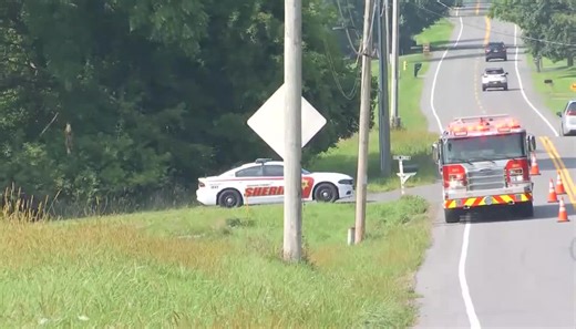 Victor man killed by falling tree identified