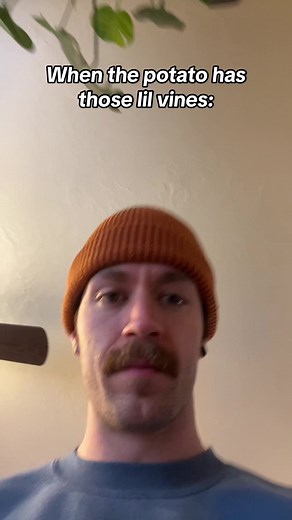 Where's the Soil? Hilarious Potato Meme Explained