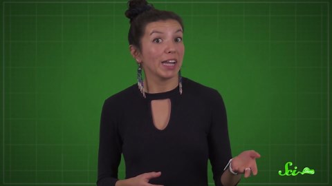 The hidden world of coral reefs