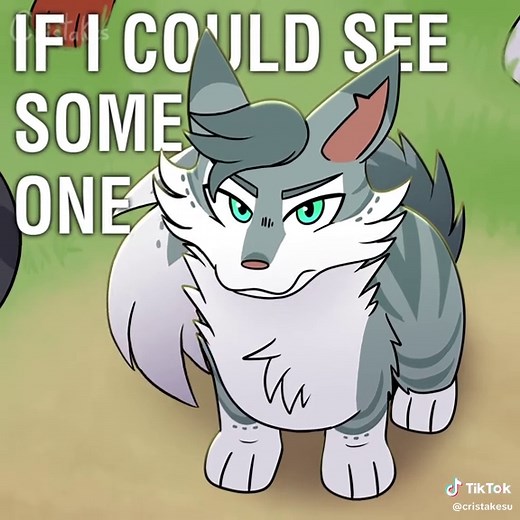 The Broken Code - Warrior Cats Meme Explained