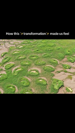 This is our #bieberchella 🙂‍↕️🤩 - At #Justdiggit, we implement nature based solutions that are simple, accessible, and highly effective. Earth Smiles are semi-circular pits designed to capture rainwater that would otherwise wash away over dry, barren soil💧 🌦️ A common misconception about the areas we work in (primarily Kenya and Tanzania) is that it never rains. We’re often asked,