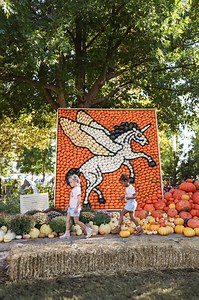 October in OKC is screaming with fun Halloween activities for the whole family! 🎃🧙‍♀️ (see all event info in the comments!) 👻 | Visit OKC