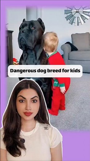 Best Dog breeds for kids!