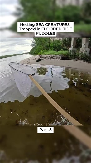 Fishing Adventures with The Fish Guys: Part 3