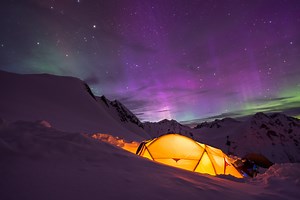 Basecamp 7-Day Free Trial