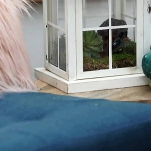 504K views · 4.2K reactions | Light up your tabletop with a savvy...