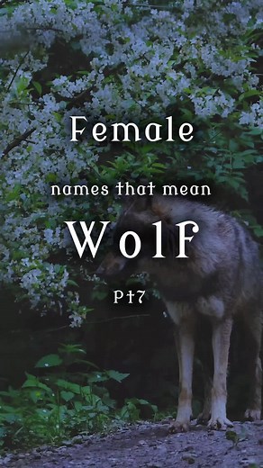 Names of Female Wolves in Mythology