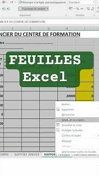 débuter avec excel : ajouter, supprimer, renommer et déplacer les FEUILLES
