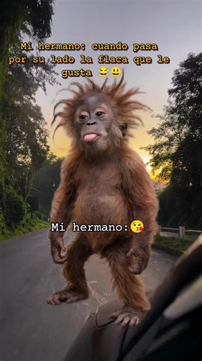 Mi hermano cuando ve a la flaca que le gusta — reacción divertida