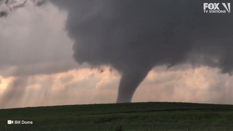 Minnesota weather: Overnight storms lead to power outages, downed trees: Photos