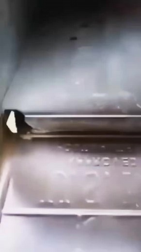 pp memes (@wyattalaniz5)’s videos with original sound - pp memes