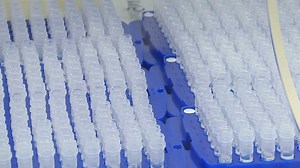 DNA Testing Brings Science To Genealogy