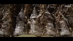 63 reactions | We have a wide selection of combines coming in to stock over the next few weeks New / Used / walker / hybrid — we have combines of all kinds ages and prices due soon Ask our team this week to get details of your trade-in while it’s still in the field | CLAAS Eastern | Facebook