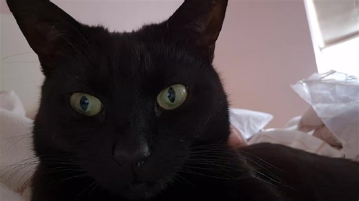 louise💗loulou (@louise.loulou11)’s videos with original sound - Rebecca Lee