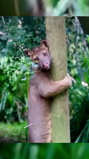 Making the most of #internationaldanceday