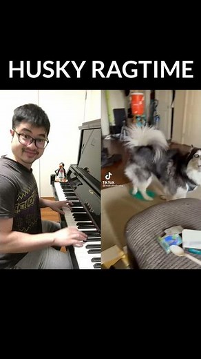 Amazing Husky Dog Sings a Ragtime