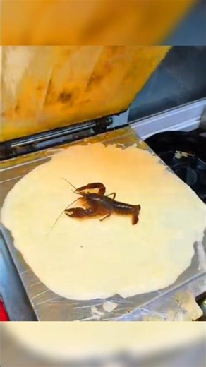 Japan Ke Log ye kya Kha rhe he🤢|Live Crayfish Fossil Senbie|