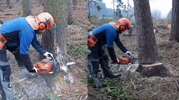 See the Impressive Work of This Mini Harvester