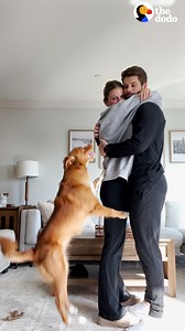 326K views · 6.6K reactions | When you survive your first year of being a pet parent We talked to @penny_alla_vodka_’s mom about how she prepared for her new life as a pet parent, what surprised her the most and how she broke her #1 rule  | The Dodo | Facebook