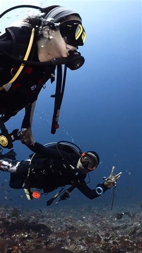 Drift diving 🎥: @danisudjana https://www.instagram.com/danisudjana/ - #diving #scuba #scubadiving #divingisfun | Diving Specials