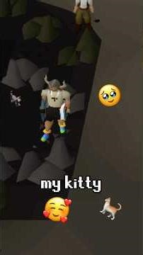 Kitty Strokin #runescape #osrs #gaming #diary #cats