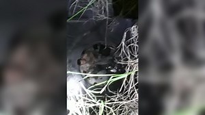 Man rescued from Houston manhole after claiming he was trapped for 6 days