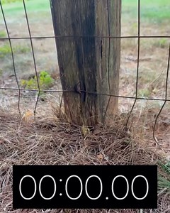 5.1K views | Post Proservative is reloadable, copper / boron,...