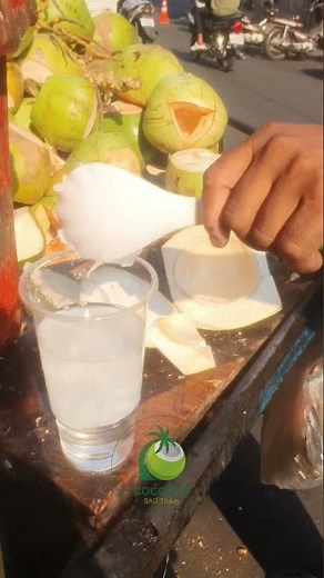 Coconut The Most Versatile Food and Why You Should Care