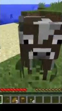 Bringing back the Green Steve seed!