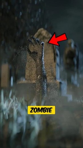 How to Survive a Zombie Outbreak 🧟‍♂️😱