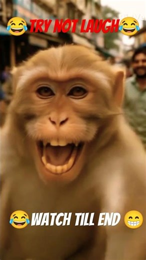 😂ai funny monkey vidio #funny #viral #trending ..🐒🤣......try not to laugh 😂