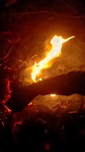 #shoot #video #viral