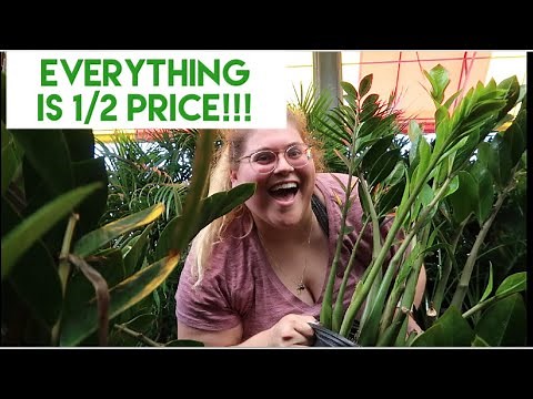 Houston Garden Center Nursery Tour! (Follow Me Around)