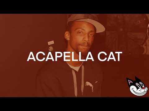 Boldy James, Curren$y & Freddie Gibbs - Fake Flowers Acapella 80 BPM - 4K Acapella Cat