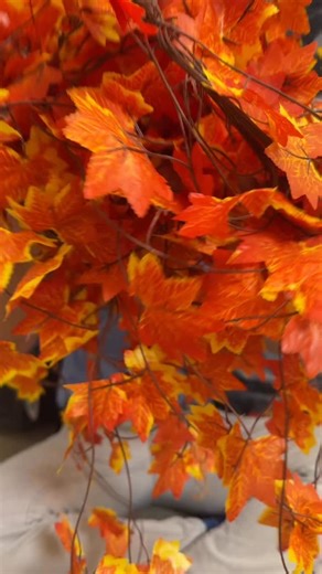 6.1K views · 167 reactions | From trick-or-treating to tinsel in 0.5 seconds. ✨ Let the holiday countdown begin! | Blippi | Facebook