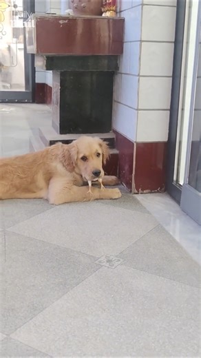 113K views · 415 reactions | He ate his friend  | Daily Mail Entertainment | Facebook