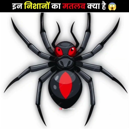 Meaning Of These Traffic Signs On The Road 😱/ #shorts