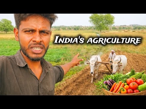 Why Indian Culture is So Unique? 🇮🇳 (Traditions, Festivals & Daily Life Explained