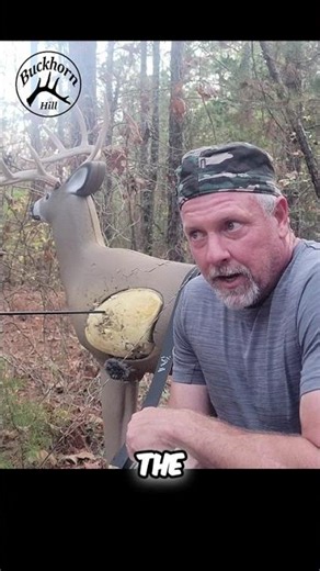 Repeatable Bow Hunting Accuracy: 33 Yard Shot Explained