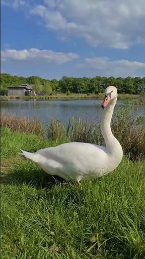 Come and stroll with us at Villages Nature Paris | Center Parcs