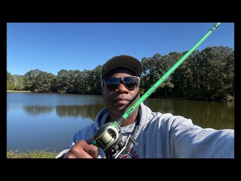 Backyard Pond Fishing!