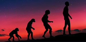 Evolution of The Theory of Evolution