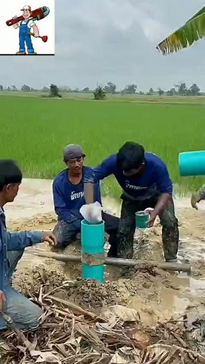 trick tools (@ideatimespor)’s videos with Banana (feat. Shaggy) [DJ FLe - Minisiren Remix] - Conkarah