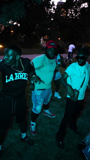 NYC Park Party 🌡️ | Fever Boss