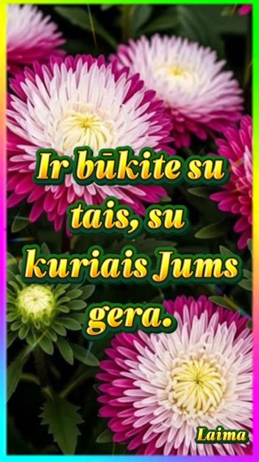 205 reactions · 94 shares | Laima Puke on Reels | Facebook