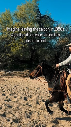 105K views · 35K reactions | Can’t beat a tough as nails mustang 鸞 | Skyler Golden | Facebook