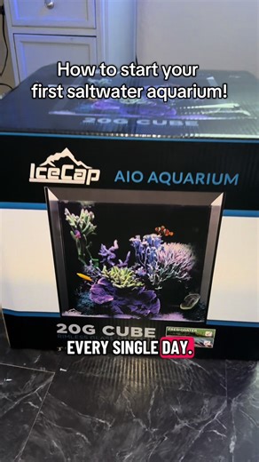 Beginner's Guide to Starting a Saltwater Aquarium