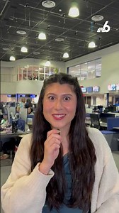 Man rescues dog abandoned in Sweetwater after driver left him behind in viral video