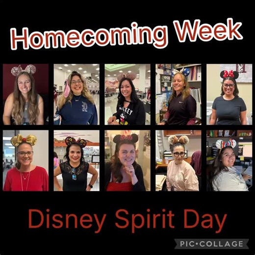 Hamilton High School on Reels