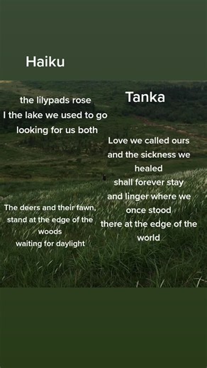 . #tanka #haiku #poetry